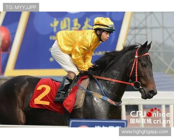 电视直播赛马：速度与激情的巅峰对决时刻